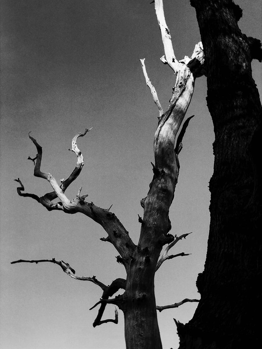 Margins, photograph 1 of 6
