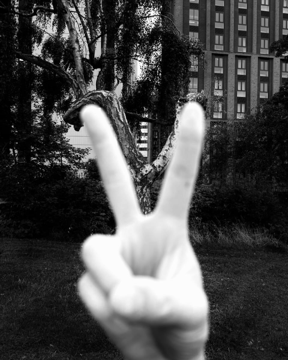 Species of Spaces, photograph 2 of 4