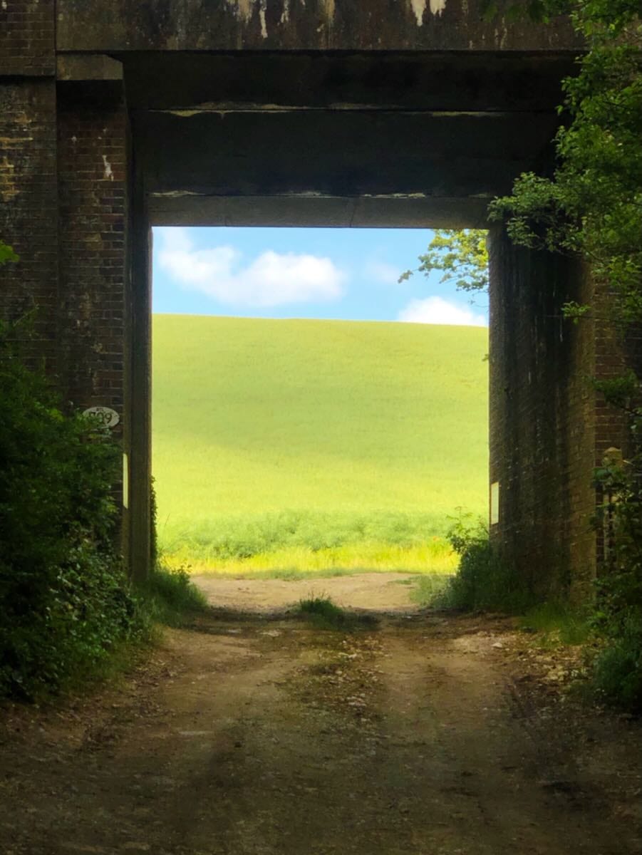 Species of Spaces, photograph 3 of 4