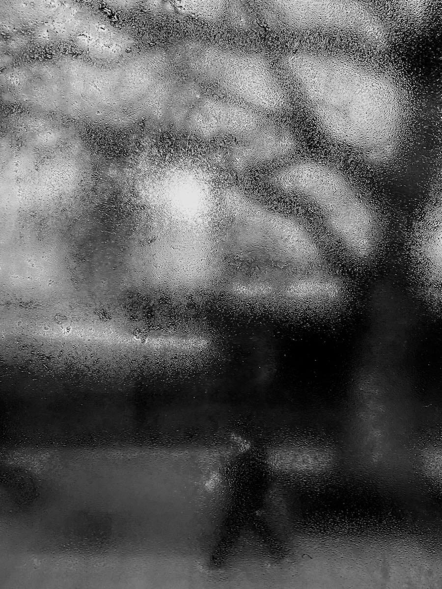 Species of Spaces, photograph 4 of 4