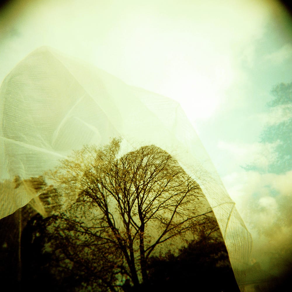 The Meadow, photograph 4 of 7