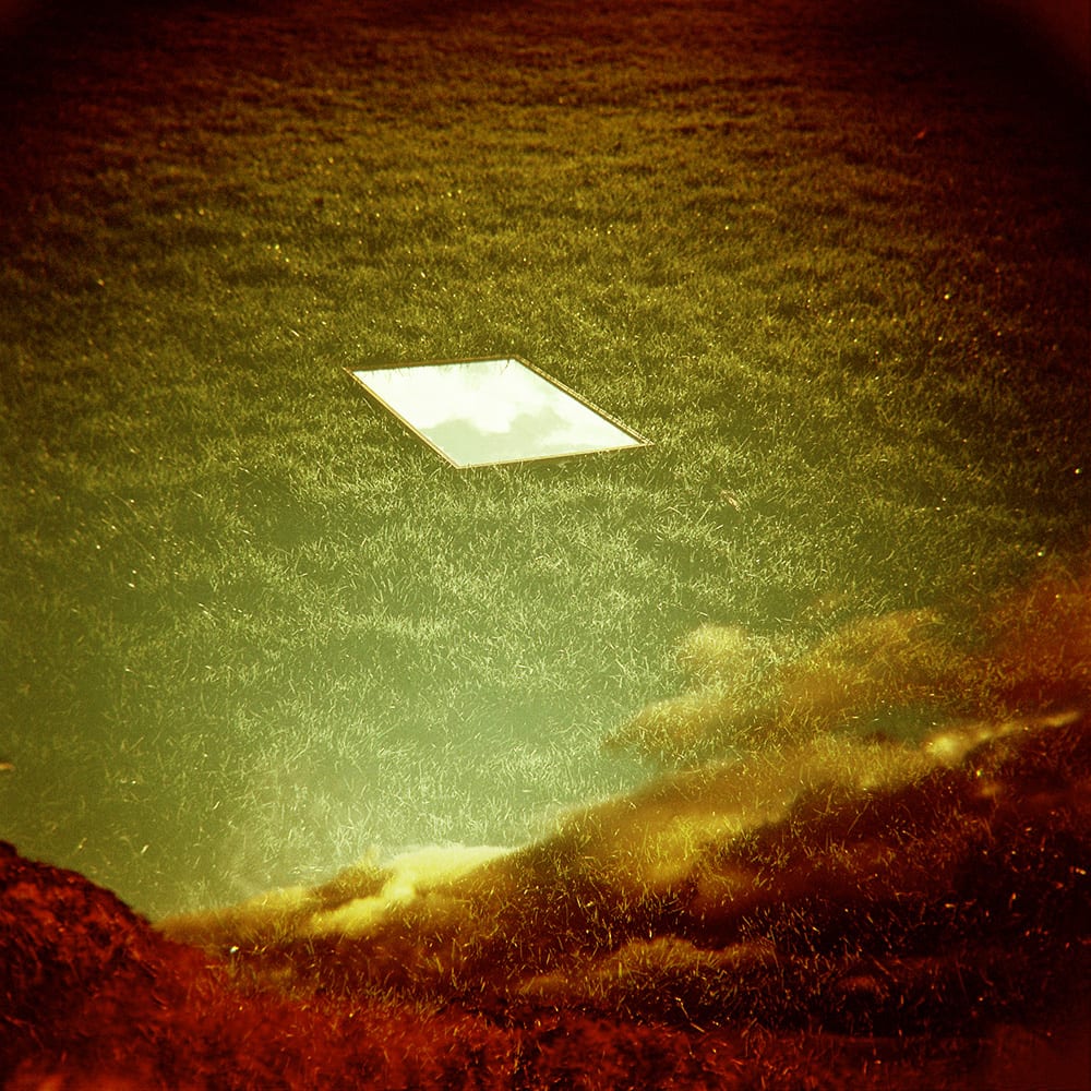 The Meadow, photograph 7 of 7