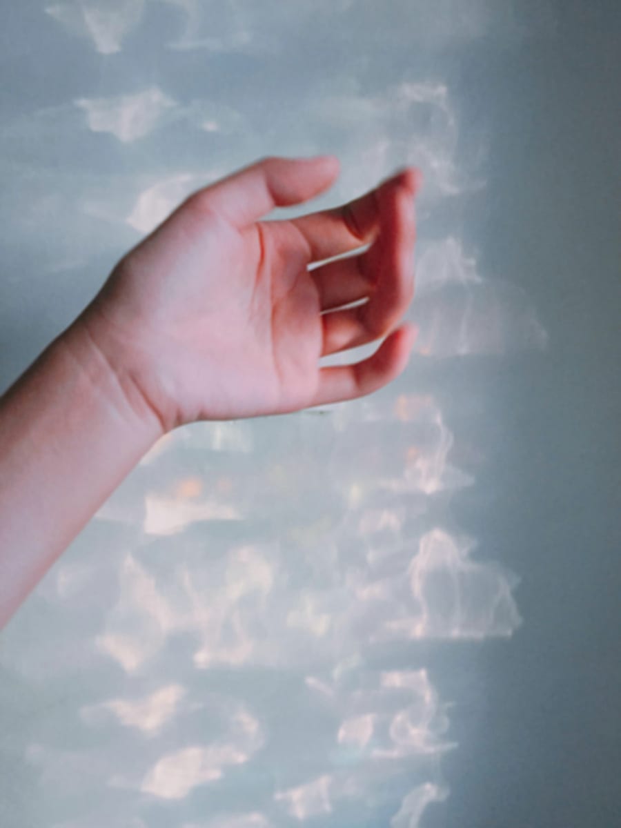 Studies — photograph 1