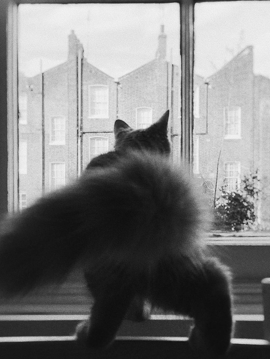 Studies — photograph 8