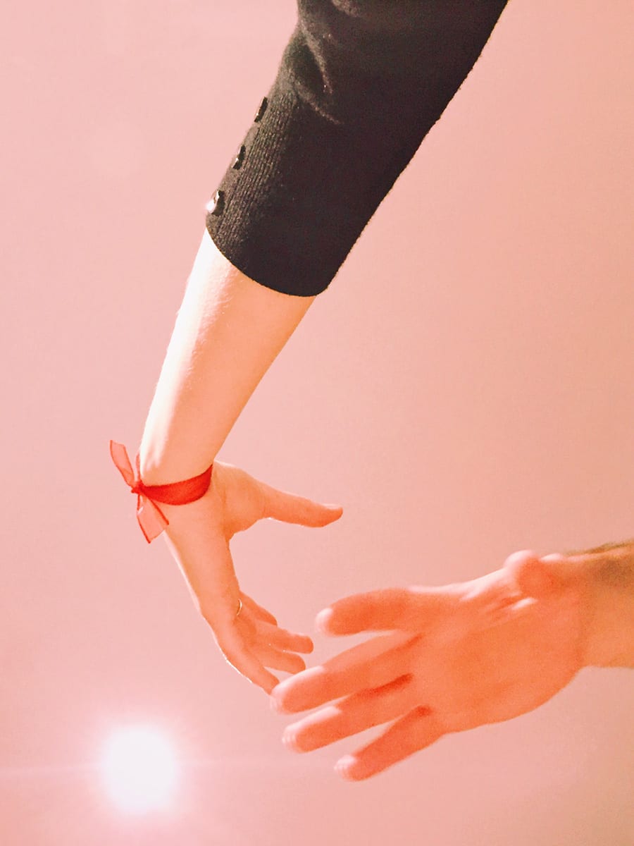 Studies — photograph 13