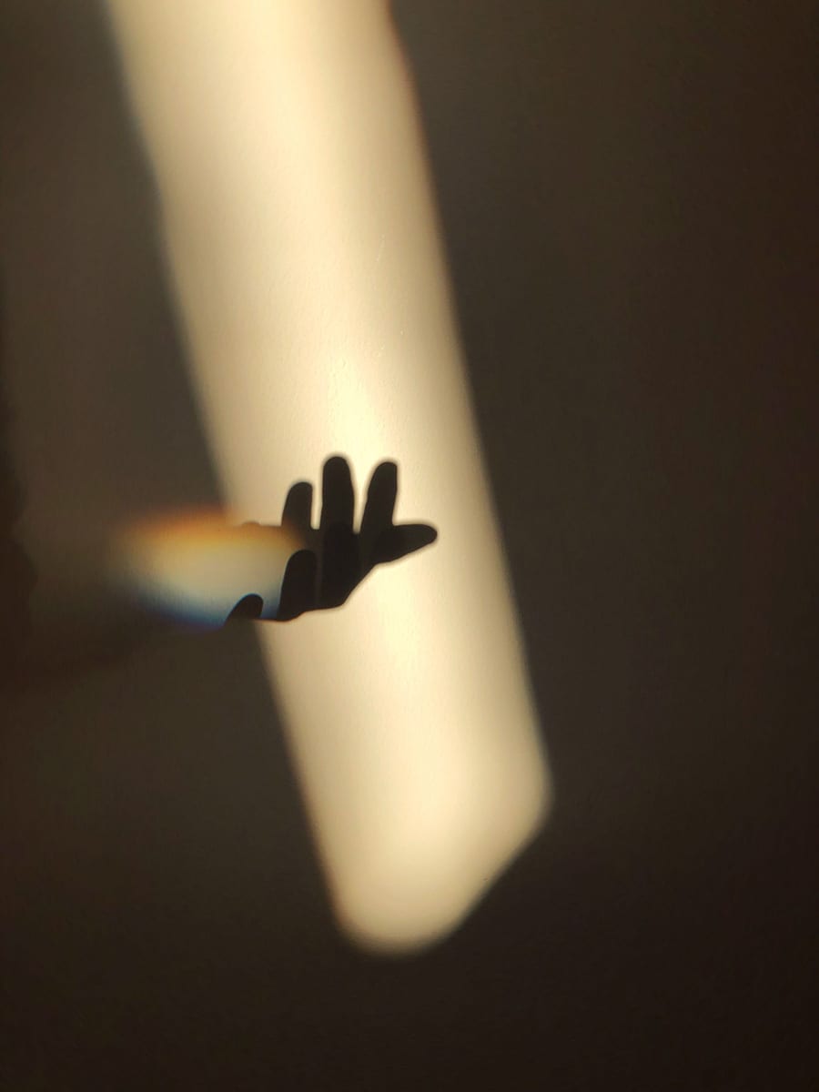 Studies — photograph 18