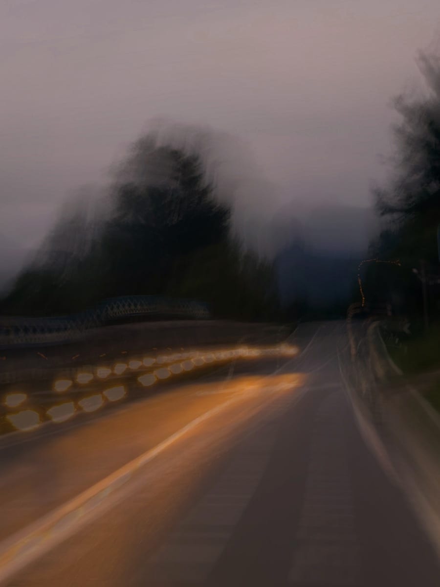 Studies — photograph 23